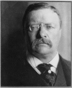 Theodore Roosevelt — Alvin Langdon Coburn, Pictorialism