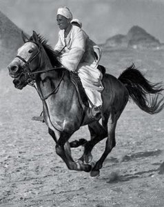 The Bedouin Egypt — Martin Munkácsi