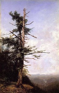 The Hemlock — John Frederick Kensett