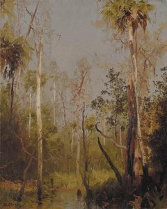 Florida Landscape 1 — Herman Herzog