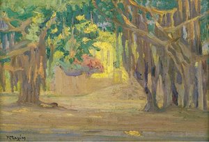 Trees At Cairo — Konstantinos Maleas