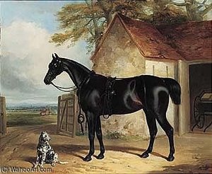 A Bay Hunter Before A Stable With A Dalmatian — William Barraud