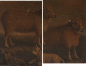 Ryeland Ram, Ewe and Lamb (diptych)