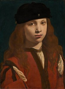Portrait Of A Youth — Giovanni Antonio Boltraffio