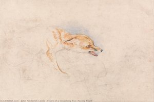 Study Of A Crouching Fox, Facing Right — John Frederick Lewis, Romanticism