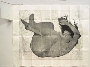 Free Fall — Kiki Smith