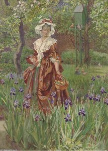 Wandering Through The Irises