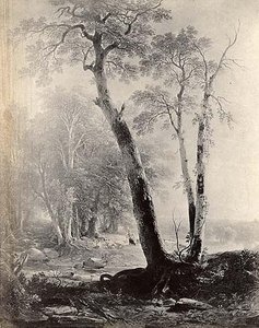 In The Woods, (painting) — Asher Brown Durand