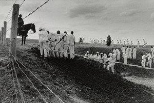 Ferguson Prison Farm, Texas