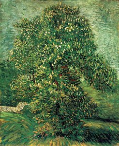 Chestnut Tree In Blossom — Vincent Willem Van Gogh, Post-impressionism