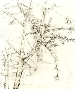 Untitled (583) — Antonio López García