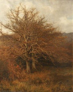 Woodland