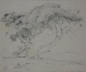 Composition For Sea Island Trees — Alfred Heber Hutty