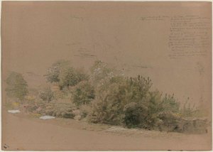 Flowering Shrubs And Trees — Jasper Francis Cropsey