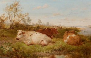 Study of Cattle