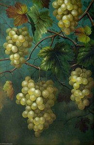 Still Life Of Grapes And Vine — Edwin Steele