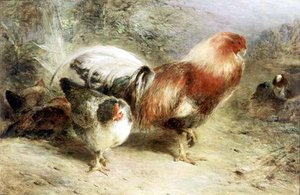Poultry — William Huggins