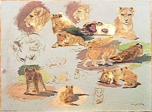 Etude De Lionne Et Lionceau — Bonheur Marie Rosalie