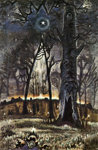 Starlit Woods