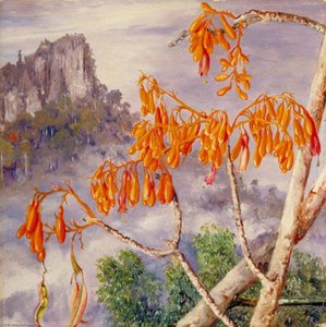 Kalkgebirge Von Sarawak, Borneo — Marianne North