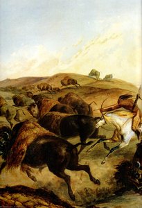 indians hunting the bison