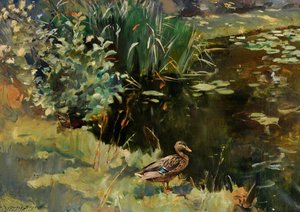 Mallard Drake — Charles Walter Simpson
