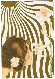 Sun Women — Raphael Kirchner