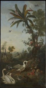 Paysage Avec Singes Macaques Rhésus, Cygnes Tuberculés, Spréo Royal D'afrique, Sur Le Palmier, Canard Colvert Et Pastèques — Christophe Huet