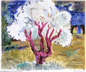 Flowering Tree Bright Night