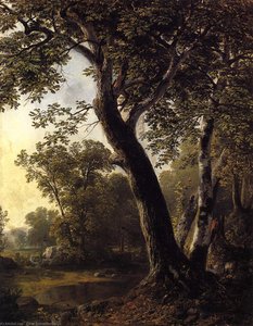 Study At Marbletown, Ulster County — Ašer Braun Durand