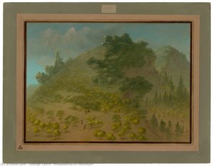 Rhododendron Mountain — George Catlin
