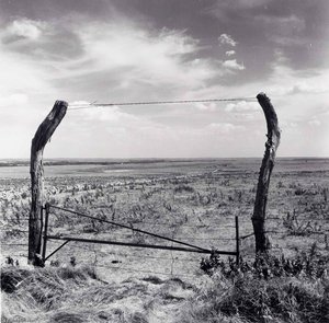 Flint Hills, Marion County, From The Kansas Documentary Survey Project — Larry W Schwarm