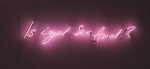 Is Legal Sex Anal — Tracey Emin