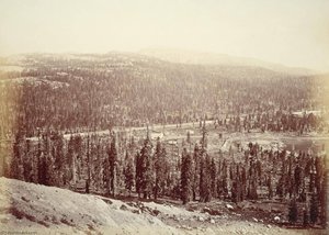 Untitled (aqtdkf) — Carleton Watkins