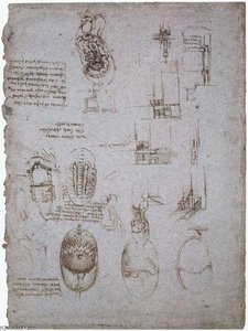 Estudios De La Villa Melzi Y Estudio Anatómico — Leonardo Da Vinci