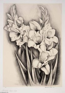 Gladiola — Howard Cook