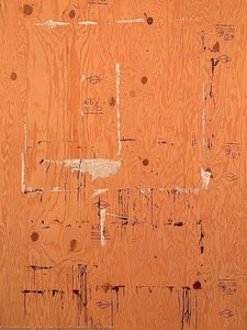 Plywood With Roller Marks 5 — John Clem Clarke