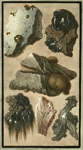 Plate 5, rock specimens found after the 1779 eruption