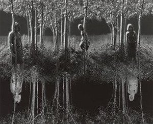 Small Woods Where I Met Myself