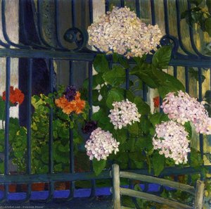 Geraniums — Koloman Moser