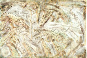 Alligators Ii — Francisco Toledo