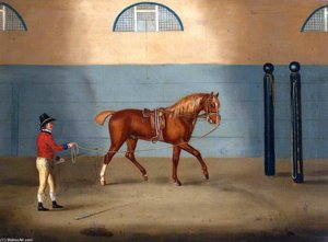 A Chestnut Horse On A Lunge — Francis Sartorius Ii (john Francis Sartorius)