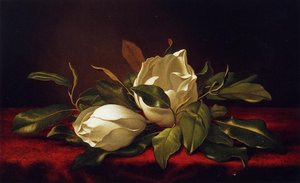 Magnoliae Grandeflorae — Martin Johnson Heade