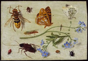 Insects — Jan Van Kessel The Elder