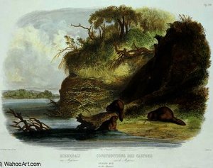 Beaver Hut On The Missouri — Karl Bodmer