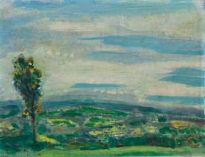 Hill Country — Arie Smit