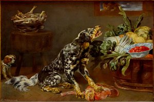 Dog in a kitchen at Palais des Beaux-Arts de Lille.