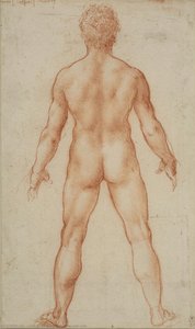 Un Hombre Desnudo De Pie — Leonardo Da Vinci, High Renaissance