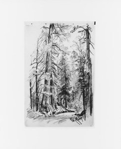 Forest Interior 1 — William Trost Richards