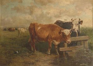 Cattle In A Pasture
